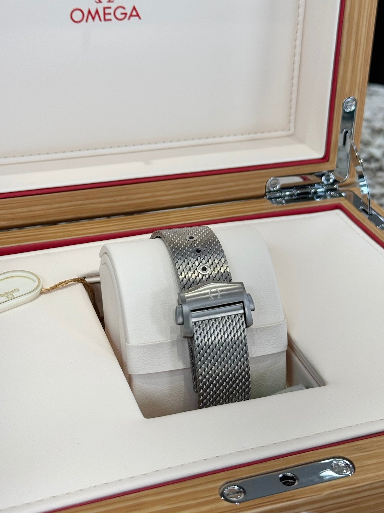 2025 Omega Professional Seamaster Diver