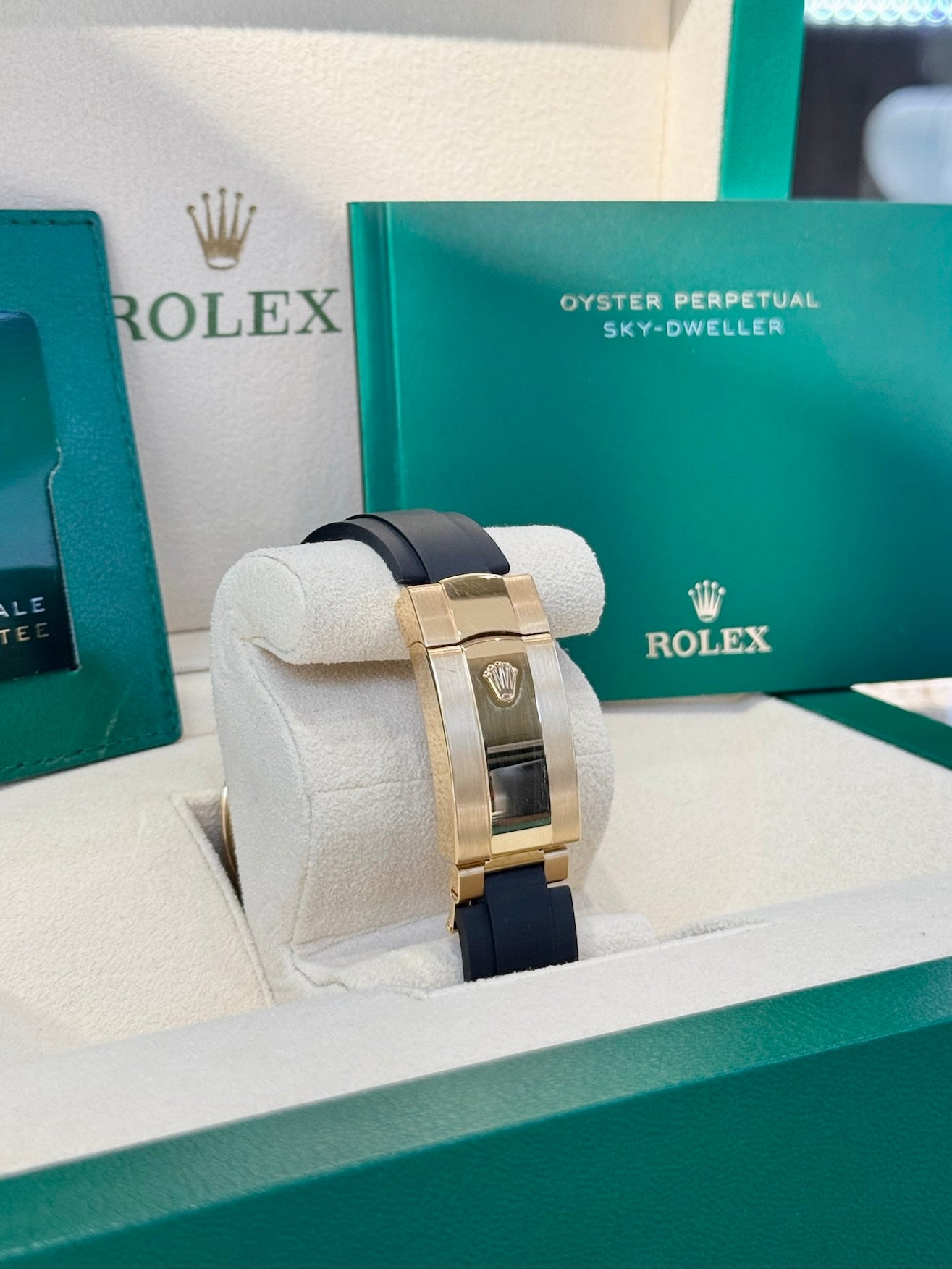 2024 Rolex Sky-Dweller 336238