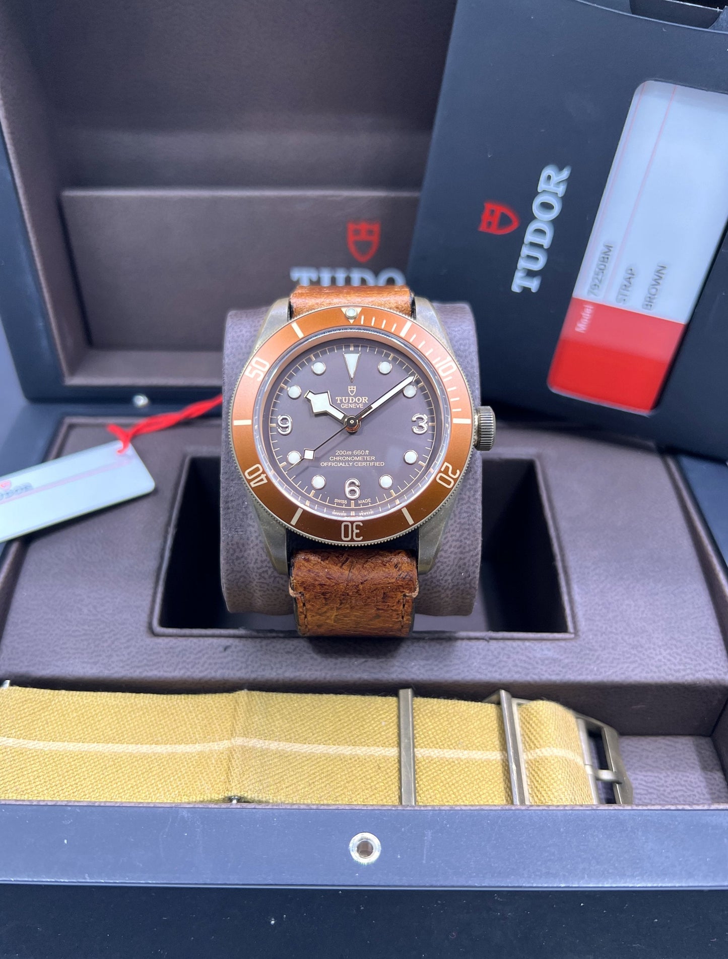 Tudor Heritage Black Bay Bronze