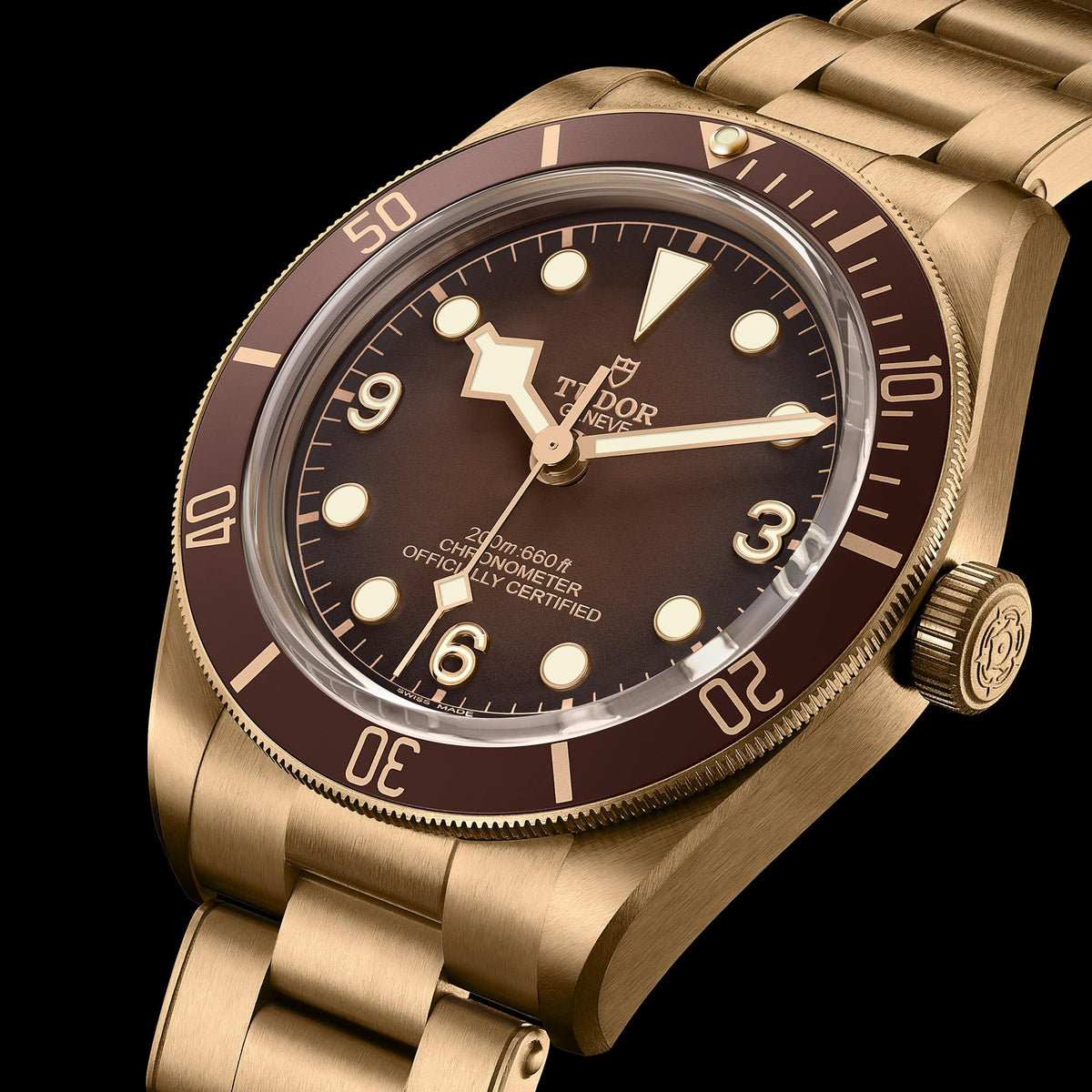 Tudor Black Bay Bronze