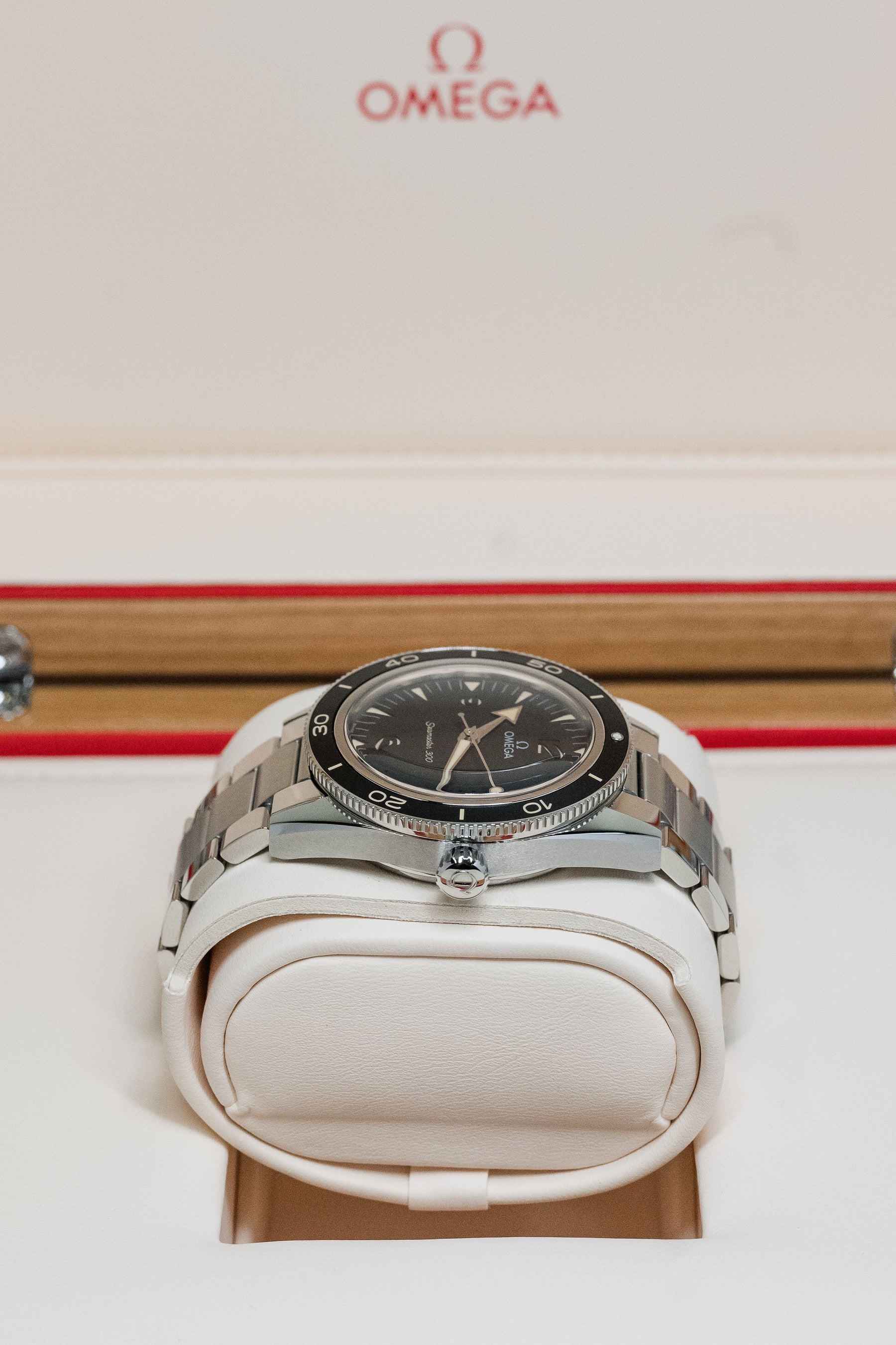 2022 Omega Seamaster 300 234.30.41.21.01.001