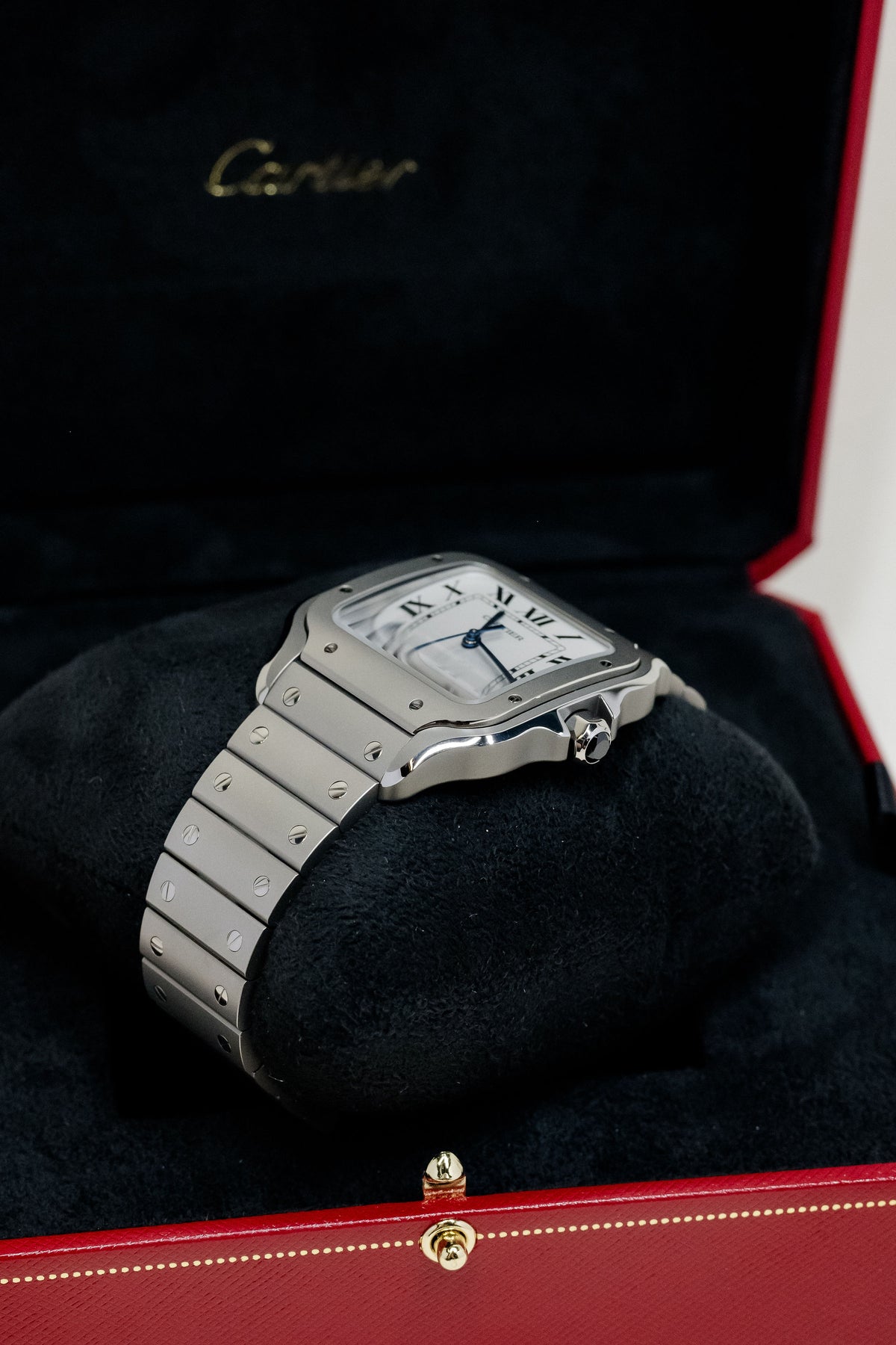 Cartier Santos de Cartier Titanium Large WSSA0089