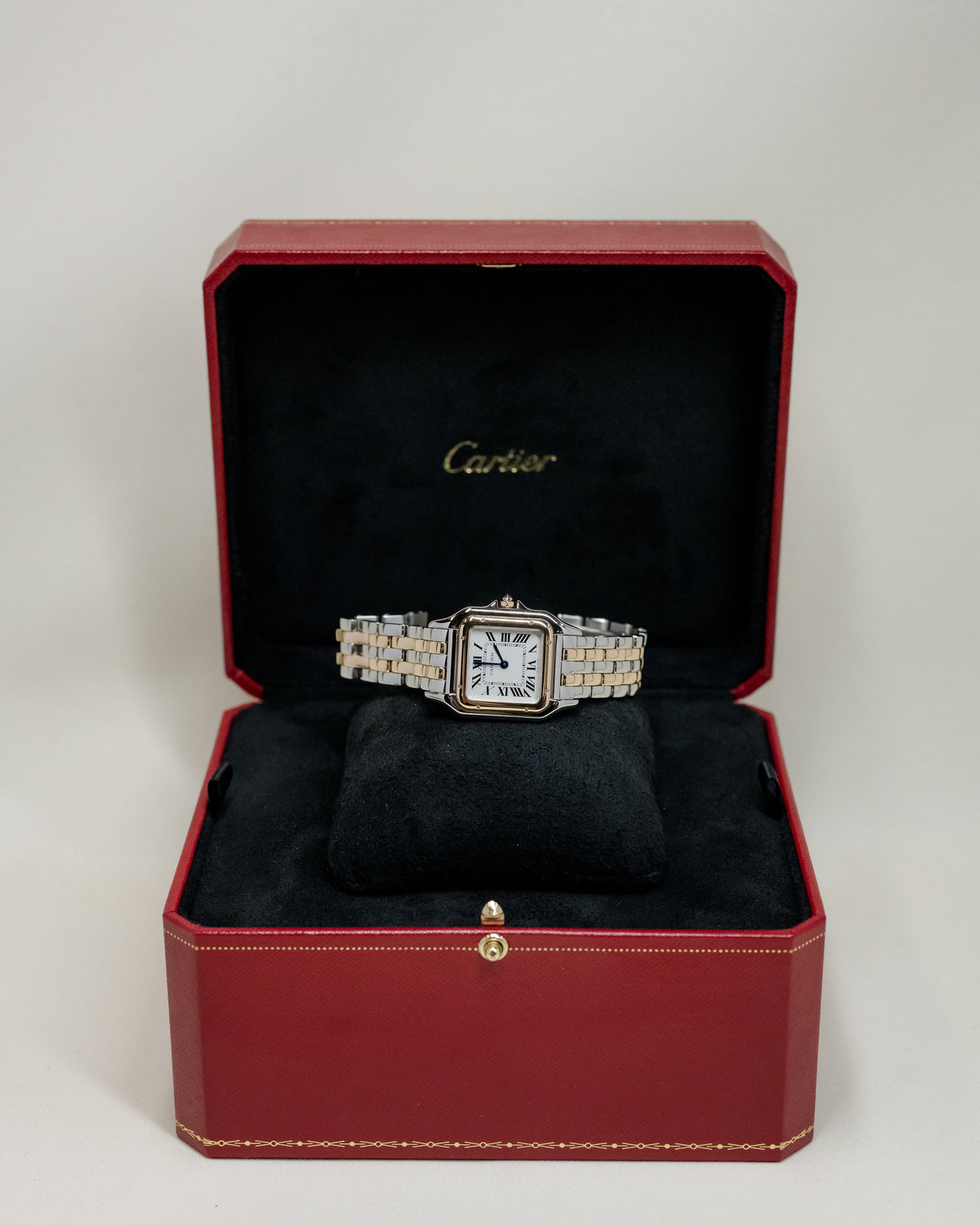 2023 Panthère de Cartier Medium W2PN0007