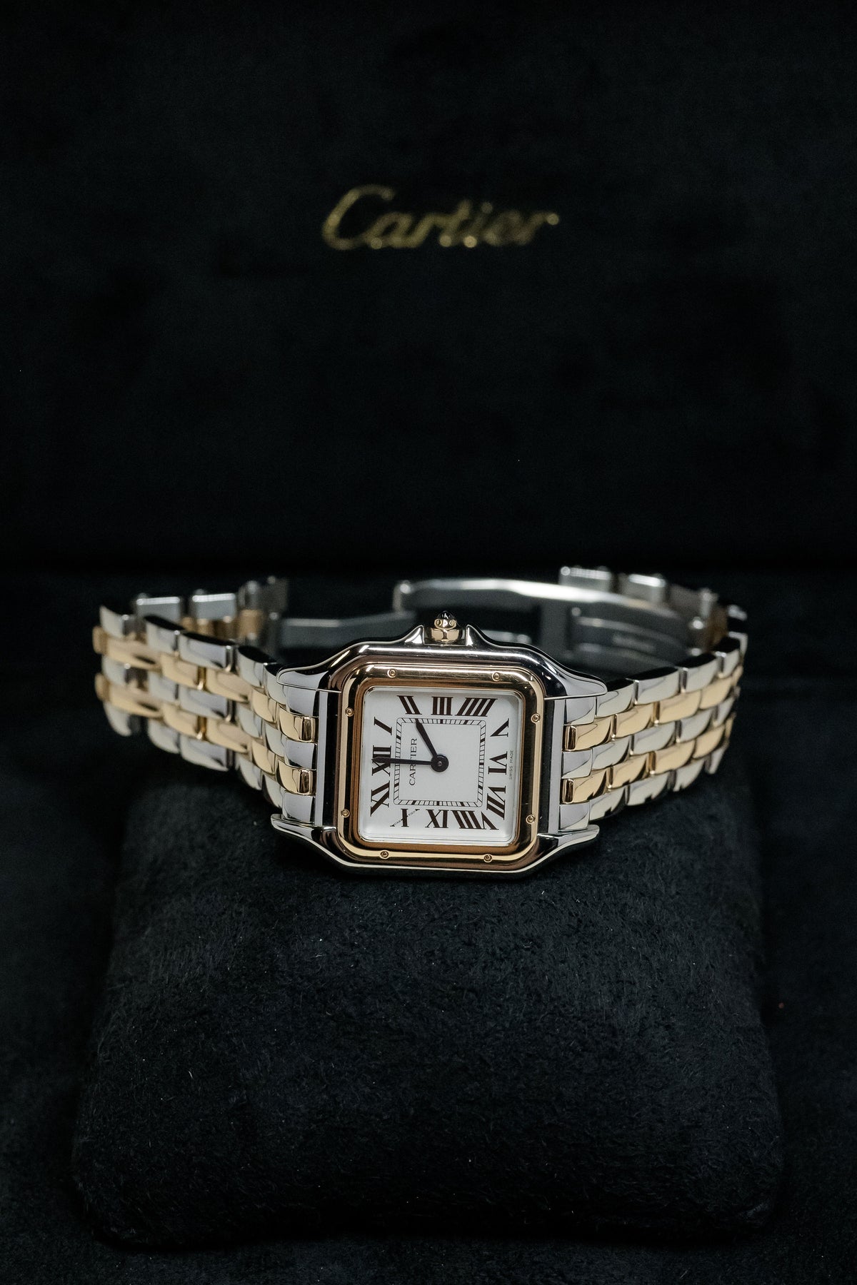 2023 Panthère de Cartier Medium W2PN0007