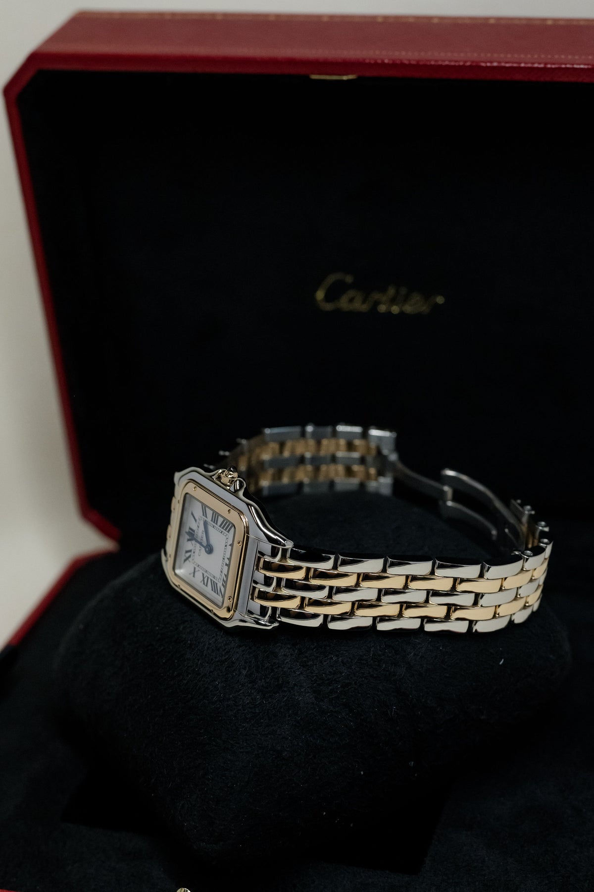 2023 Panthère de Cartier Medium W2PN0007