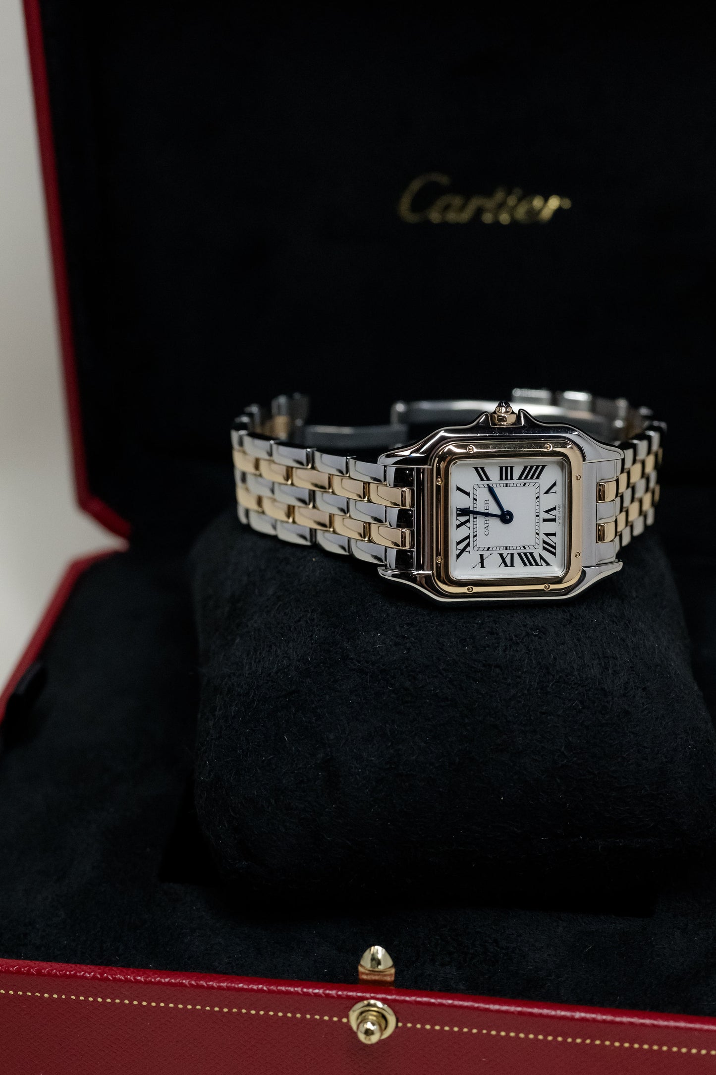 2023 Panthère de Cartier Medium W2PN0007