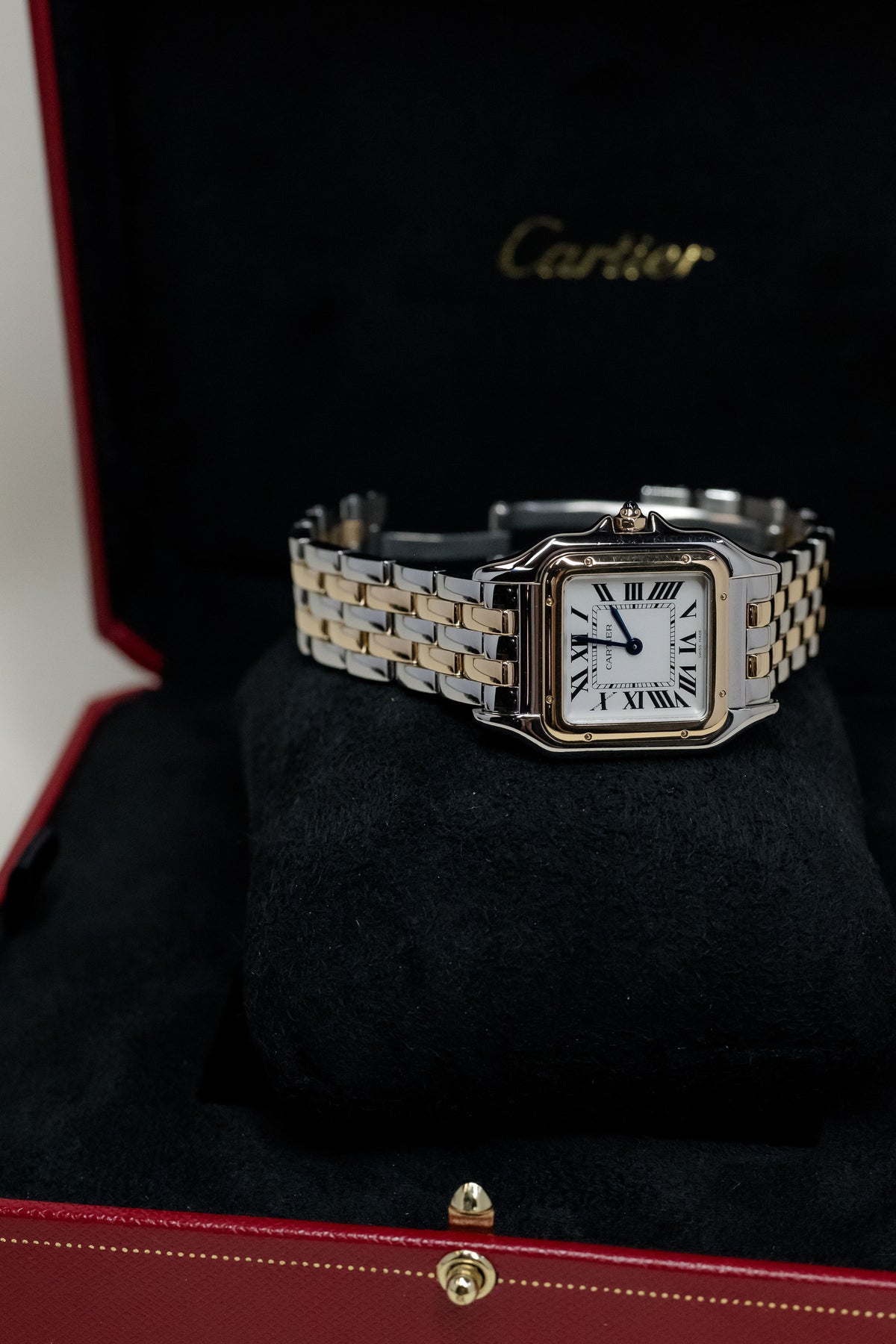 2023 Panthère de Cartier Medium W2PN0007