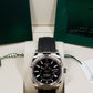 2025 Rolex Sky-Dweller 336239