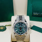 2026 Rolex Sky-Dweller 336934