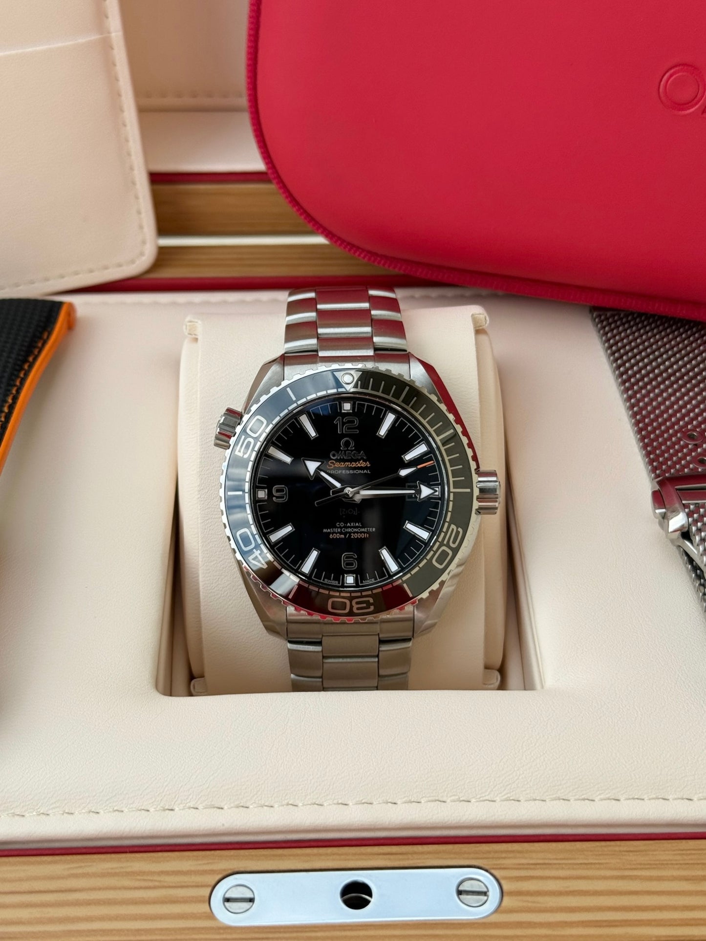 2023 Omega Seamaster Planet Ocean