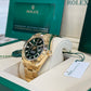 2025 Rolex Sky-Dweller 336938