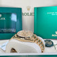 2024 Rolex Day-Date 40 228238