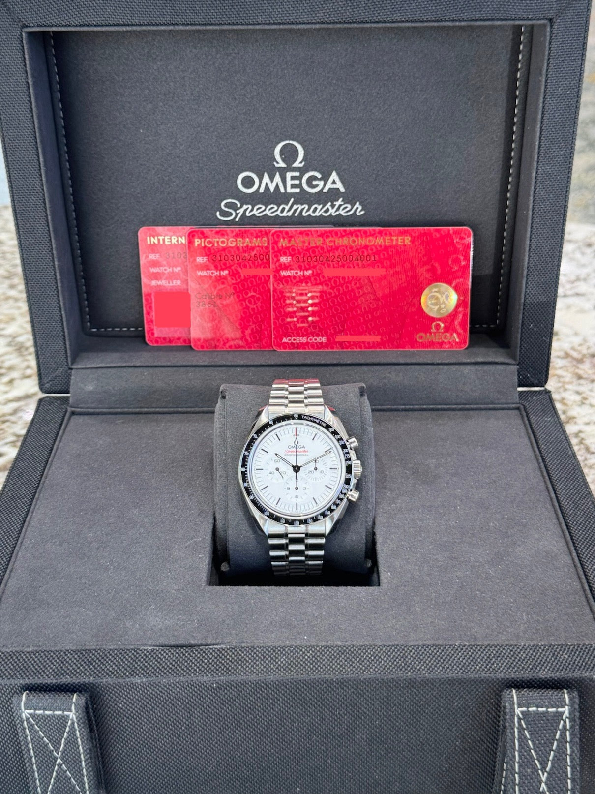2025 Omega Speedmaster Moonwatch Professional