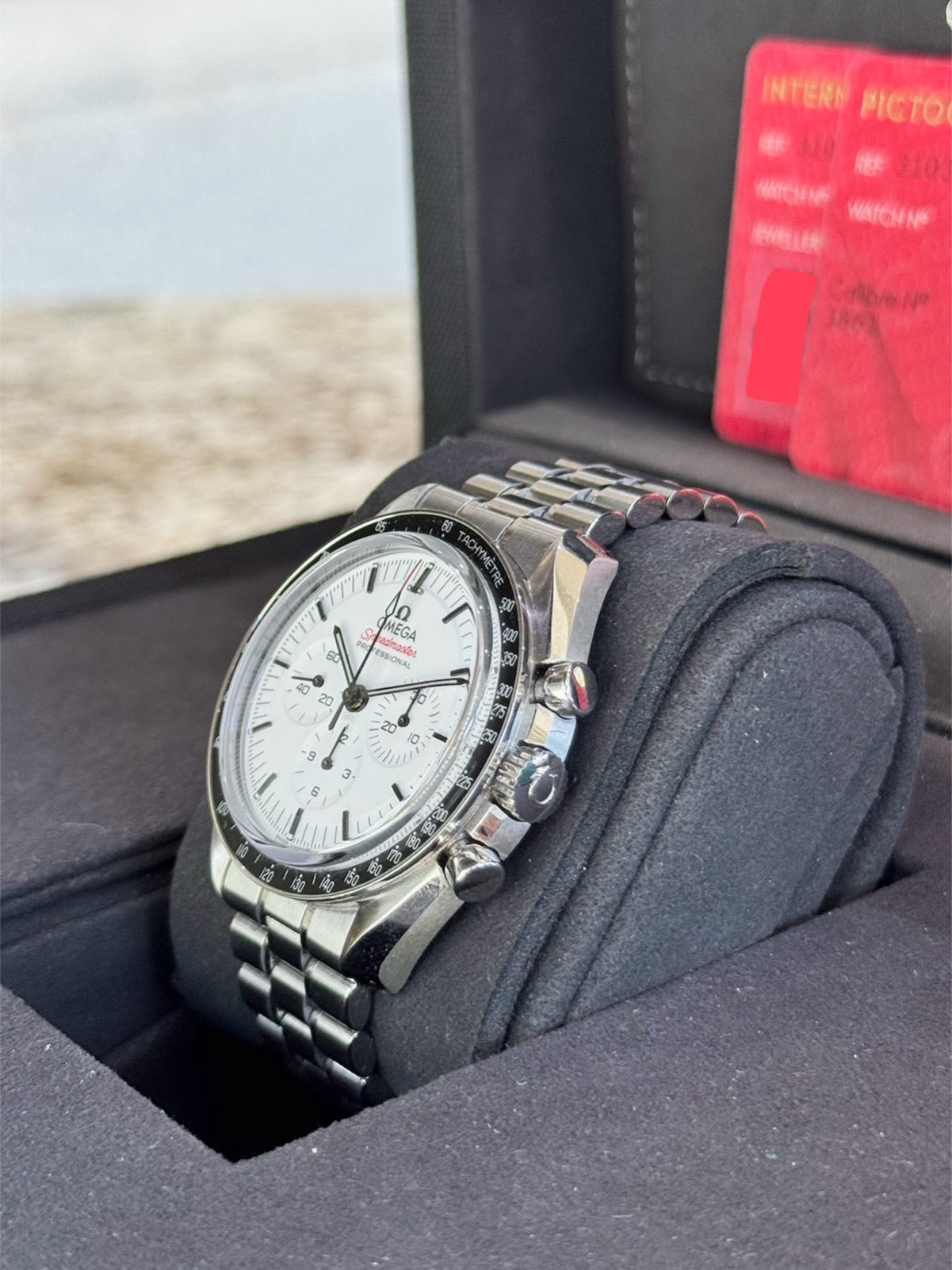 2025 Omega Speedmaster Moonwatch Professional