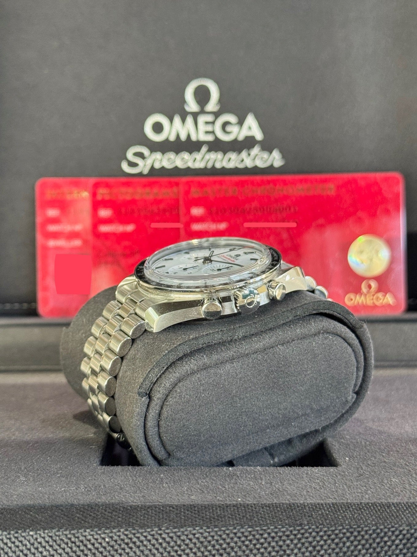 2025 Omega Speedmaster Moonwatch Professional