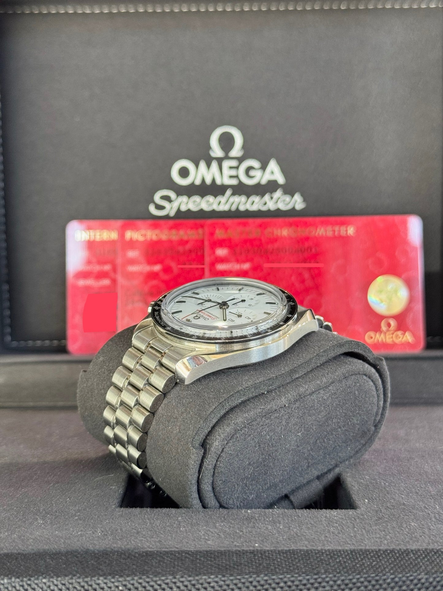 2025 Omega Speedmaster Moonwatch Professional