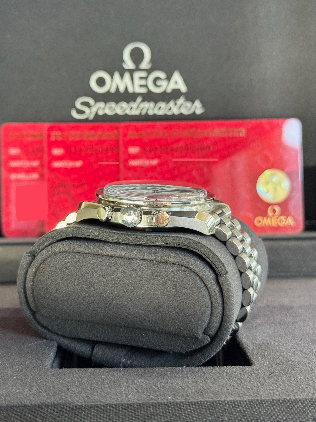 2025 Omega Speedmaster Moonwatch Professional