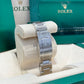 2024 Rolex Oyster Perpetual 36 126000