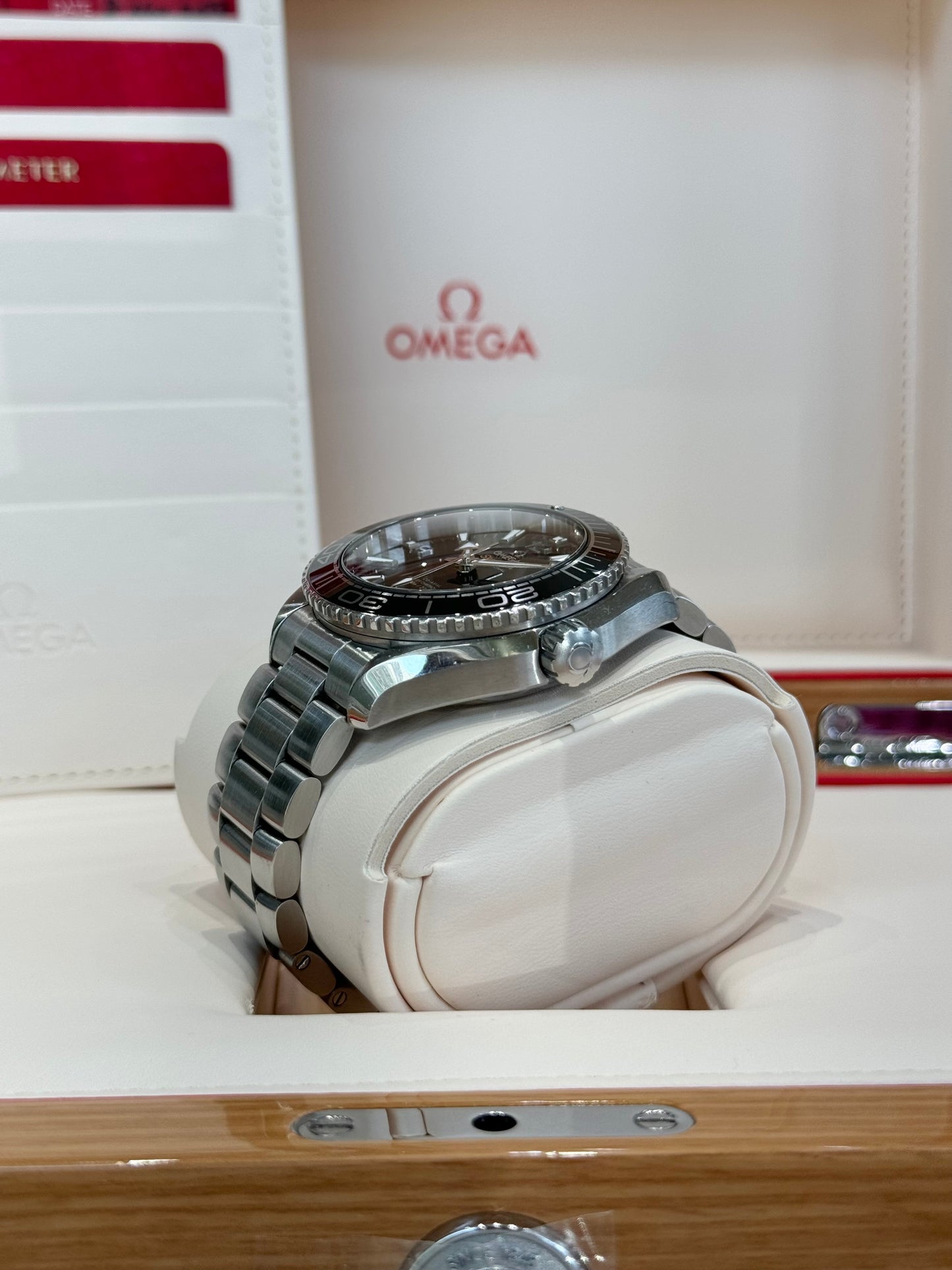 2017 Omega Seamaster Planet Ocean 600M