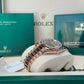 2025 Rolex Day-Date 40 228235
