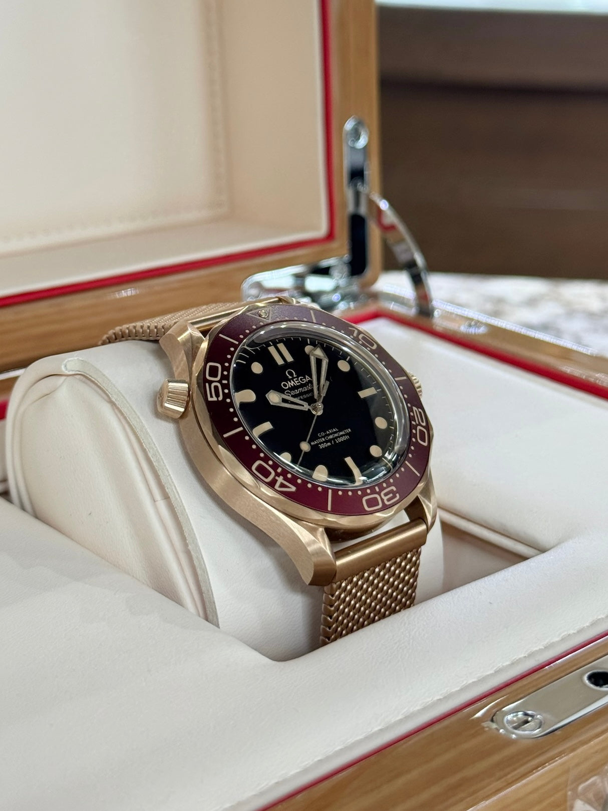 2025 Omega Seamaster Diver 300M 210.90.42.20.01.003