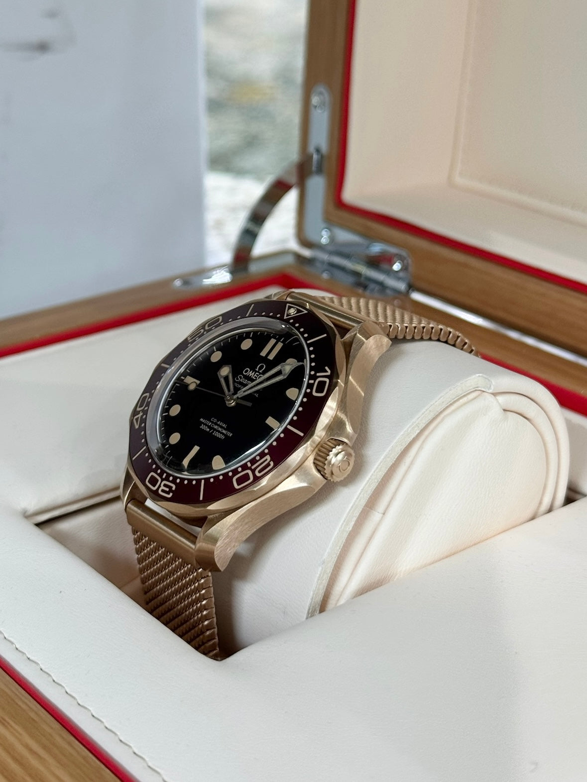 2025 Omega Seamaster Diver 300M 210.90.42.20.01.003