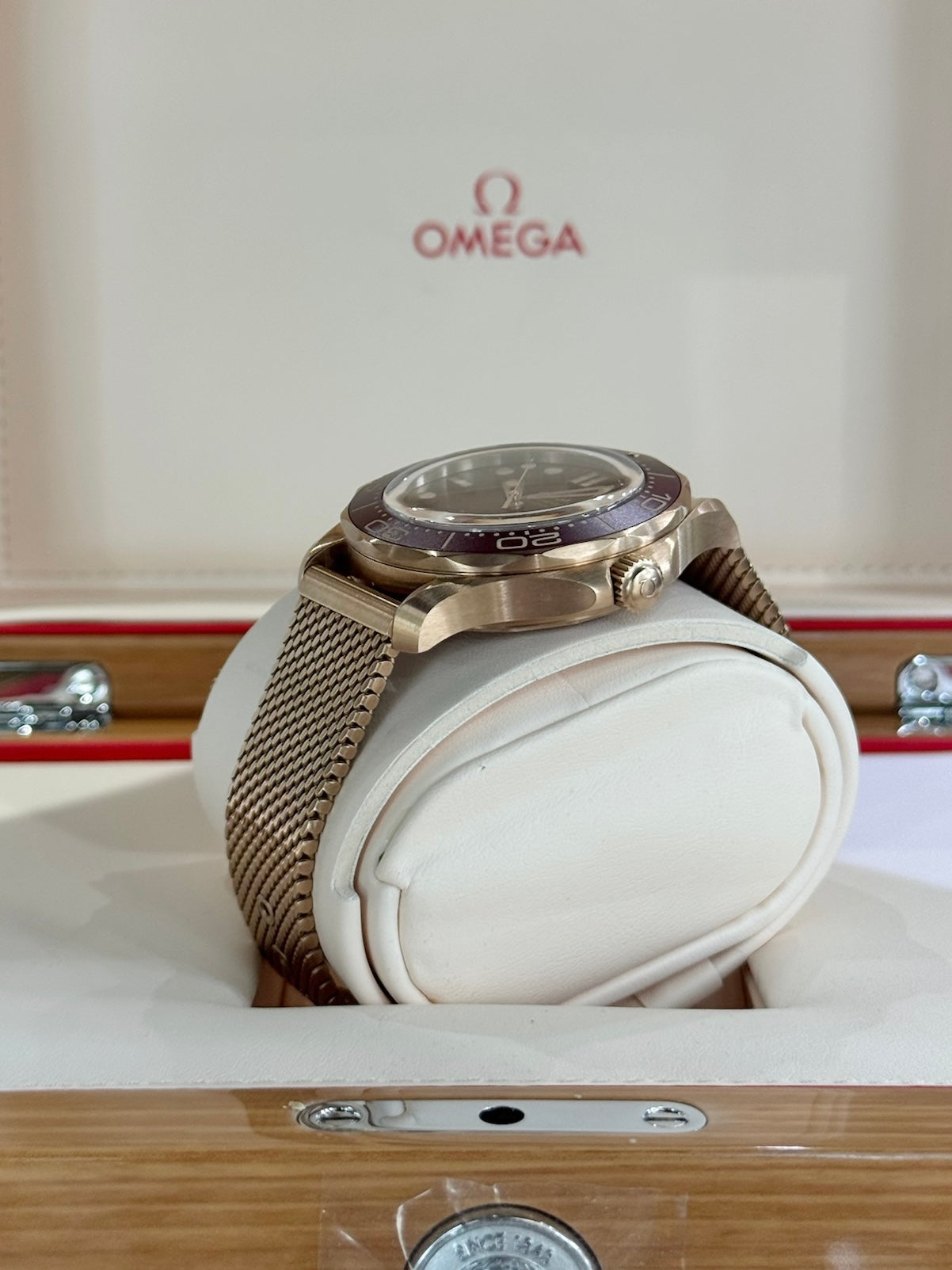 2025 Omega Seamaster Diver 300M 210.90.42.20.01.003