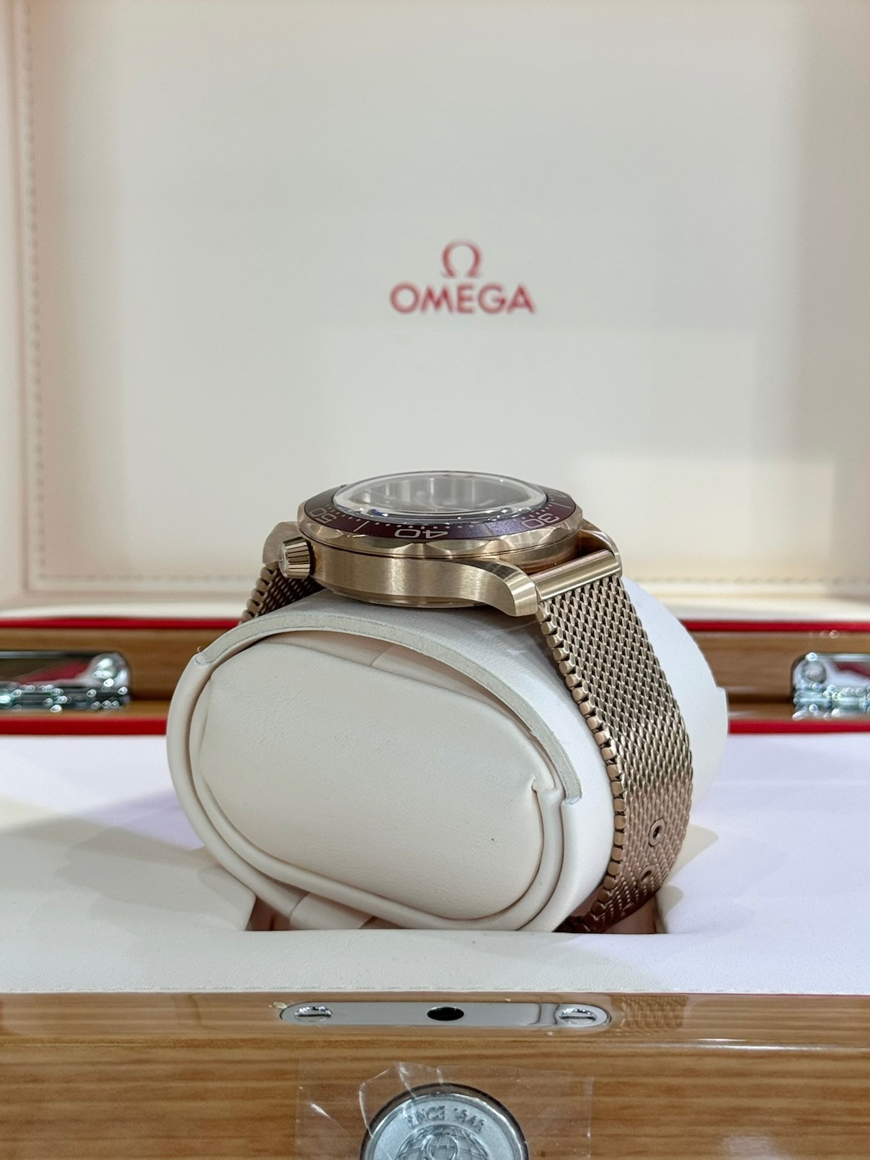 2025 Omega Seamaster Diver 300M 210.90.42.20.01.003