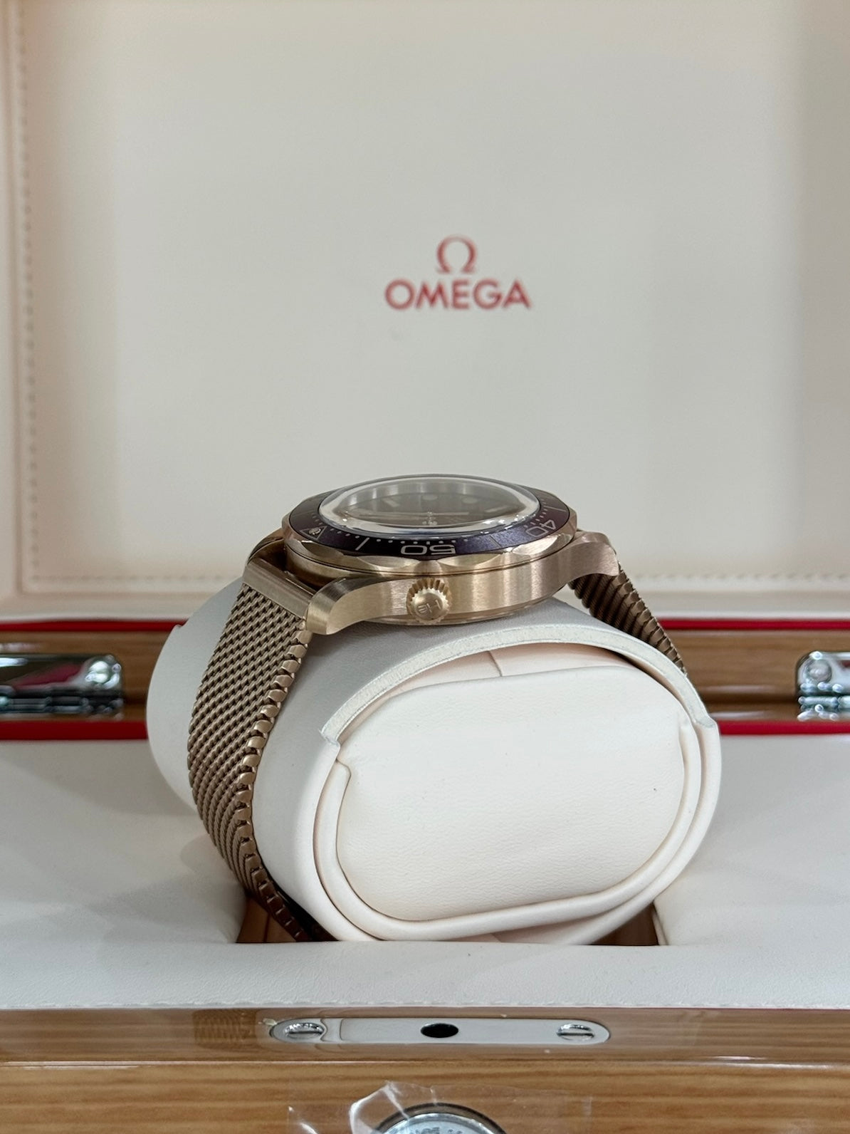 2025 Omega Seamaster Diver 300M 210.90.42.20.01.003