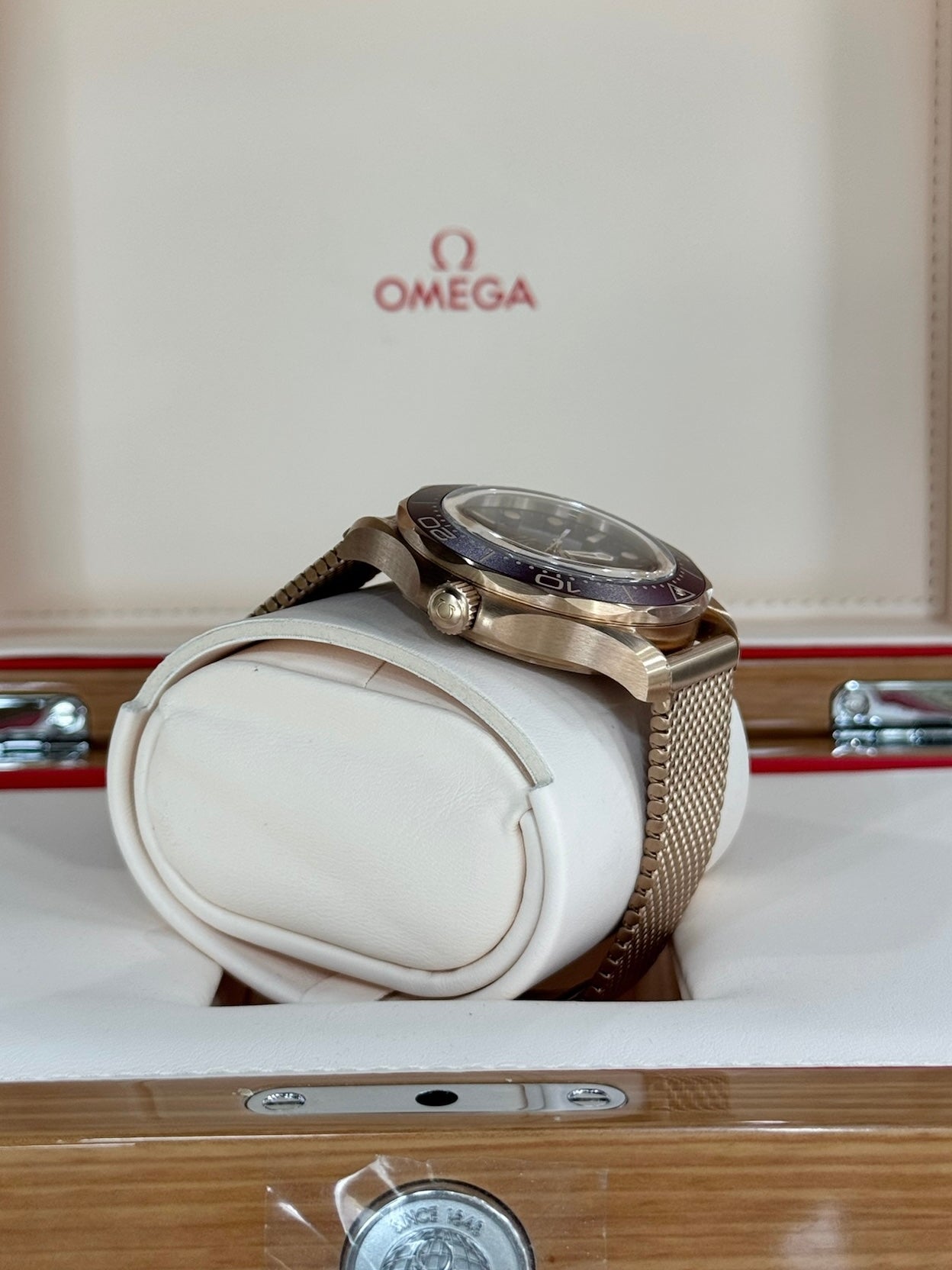 2025 Omega Seamaster Diver 300M 210.90.42.20.01.003