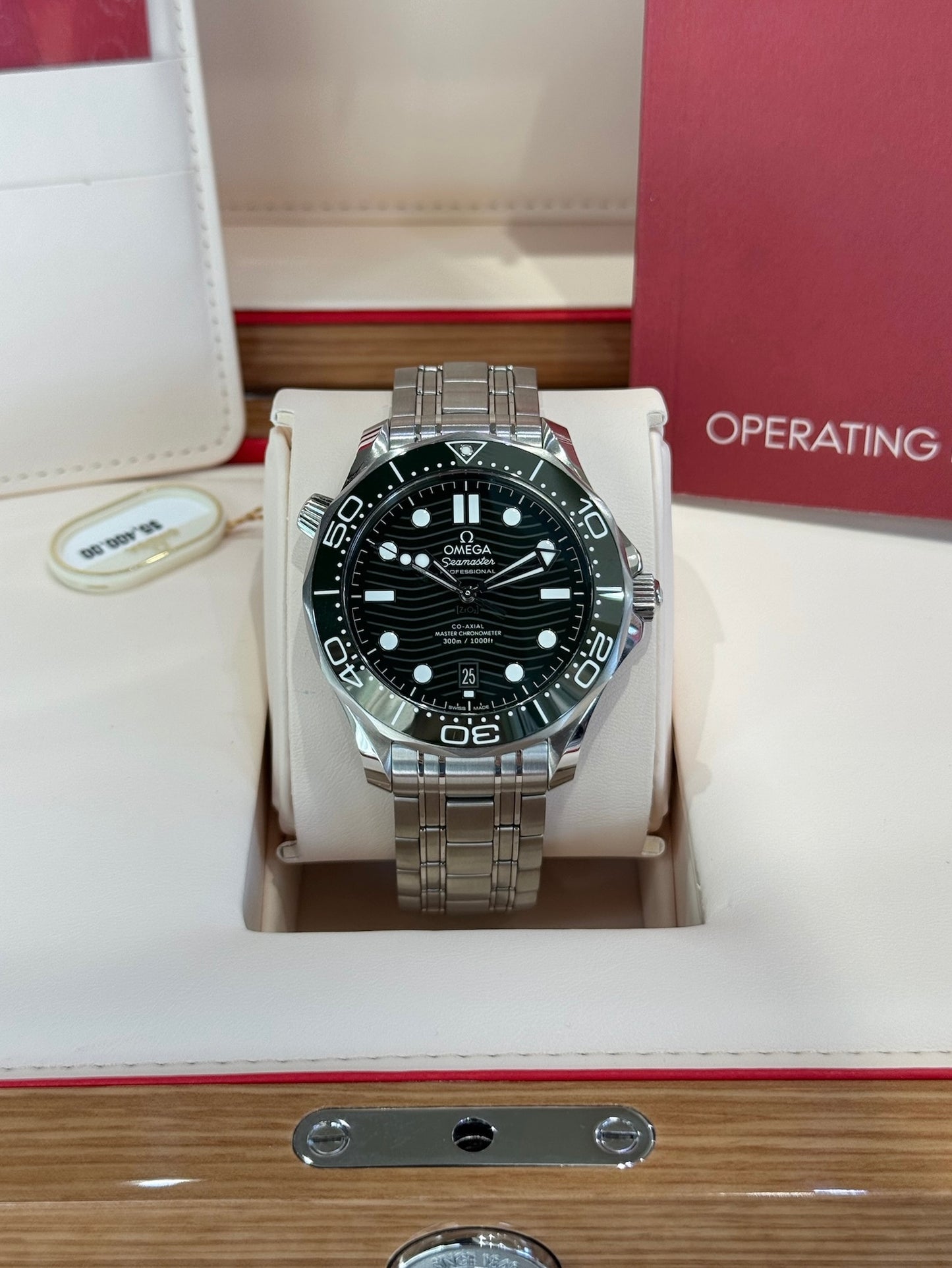 2025 Omega Seamaster Diver 300M 210.30.42.20.10.001
