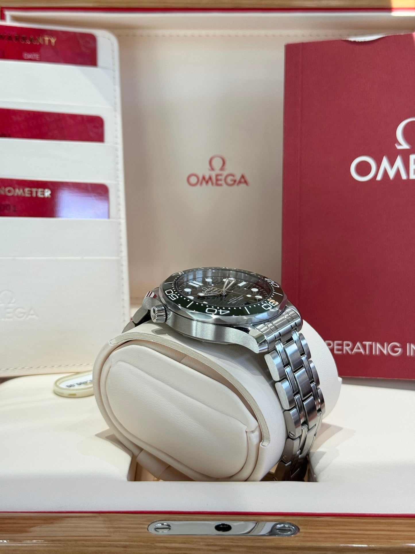 2025 Omega Seamaster Diver 300M 210.30.42.20.10.001