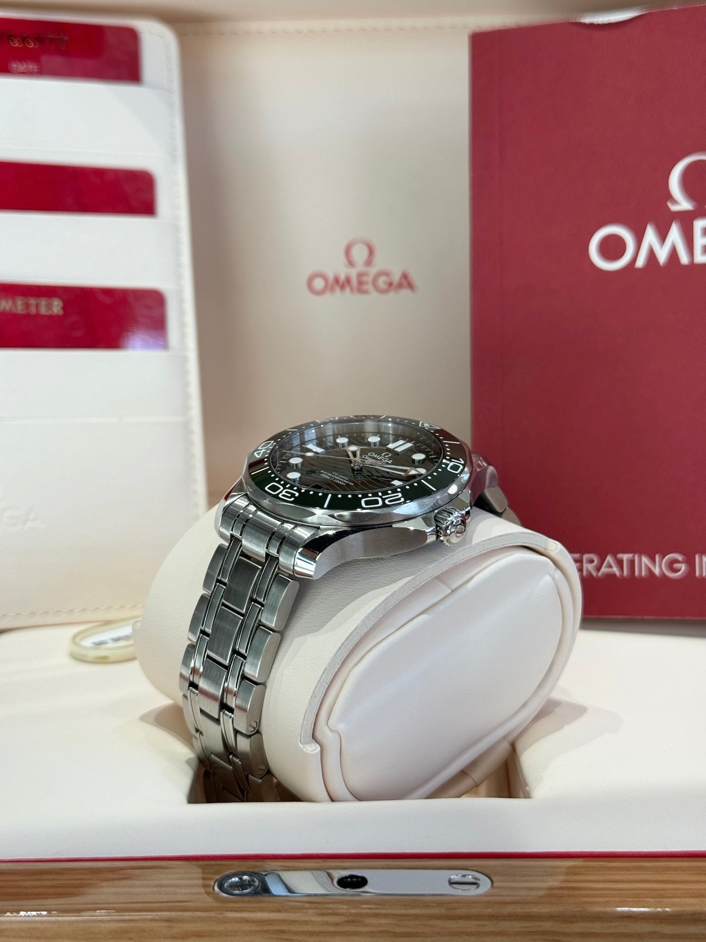 2025 Omega Seamaster Diver 300M 210.30.42.20.10.001
