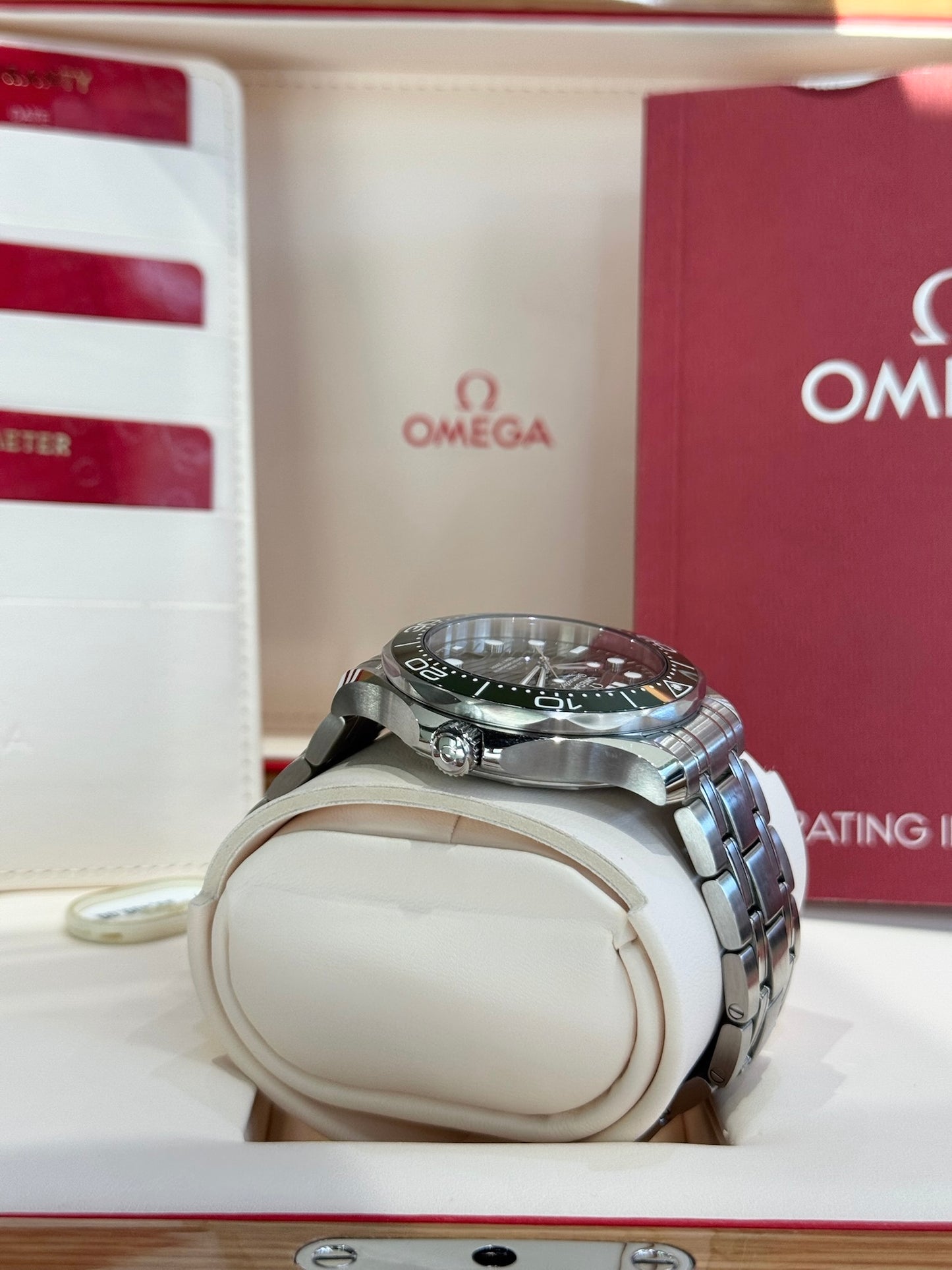2025 Omega Seamaster Diver 300M 210.30.42.20.10.001
