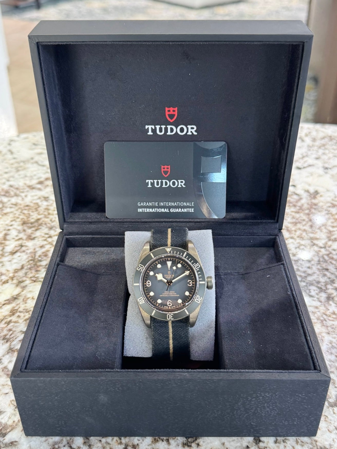 2022 Tudor Black Bay Bronze 79250BA