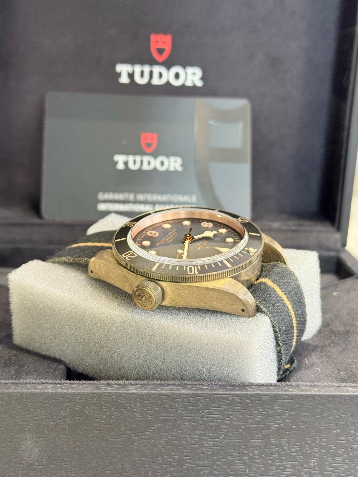 2022 Tudor Black Bay Bronze 79250BA