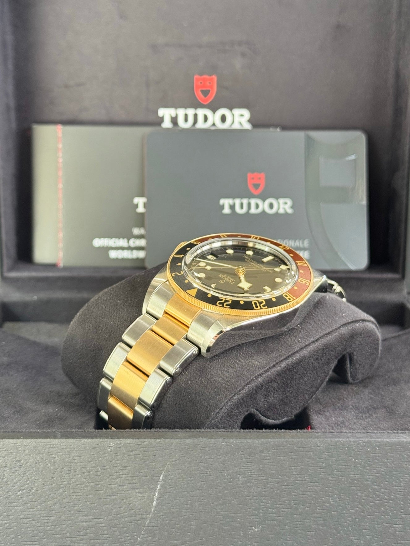 Tudor Black Bay GMT S&G 79833MN