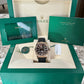 2024 Rolex Sky-Dweller 336235