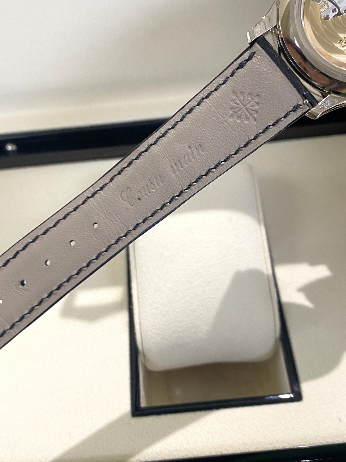 2022 Patek Philippe Complications Moon Phase